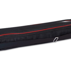 Modulate 2020 (Bag)