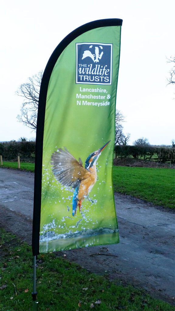 Windchaser [Wildlife Trust]